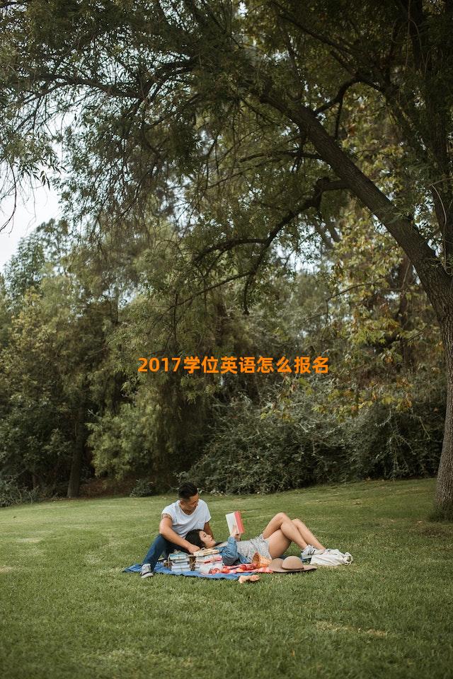 2017学位英语怎么报名