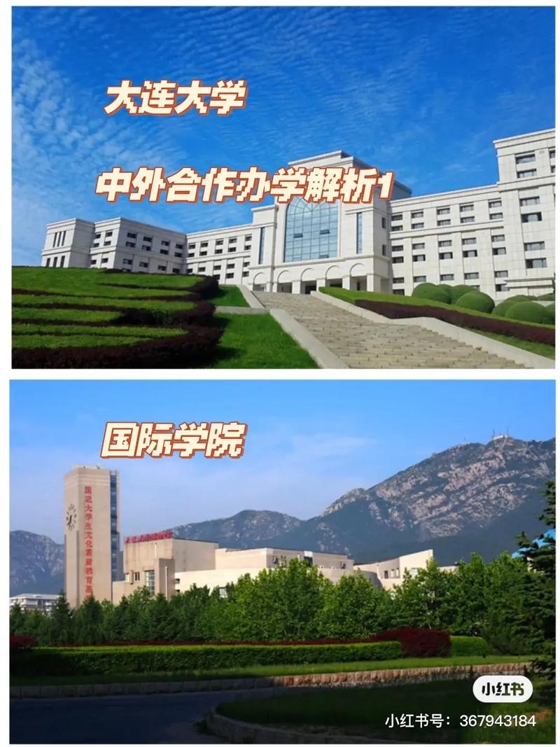 大连大学金连林在哪里