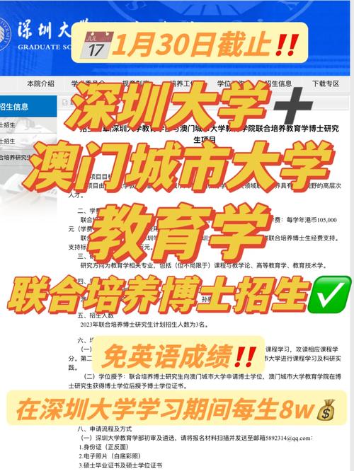 深圳大学怎么分配导师