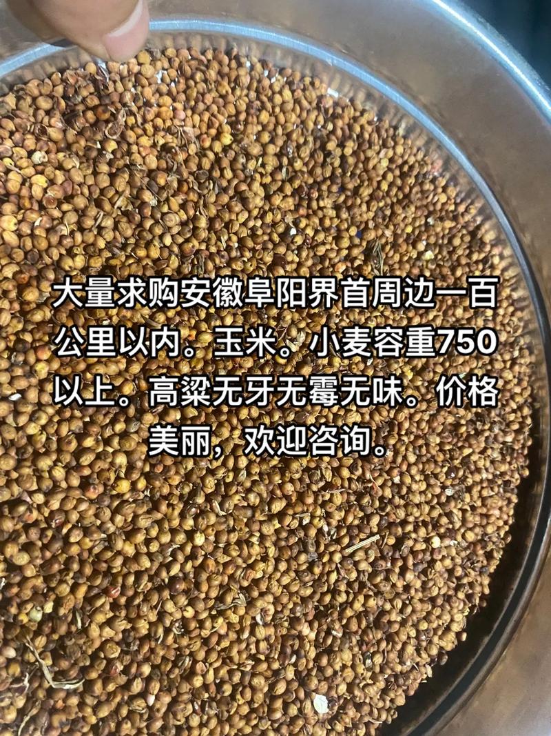 安徽粮食主要有哪些