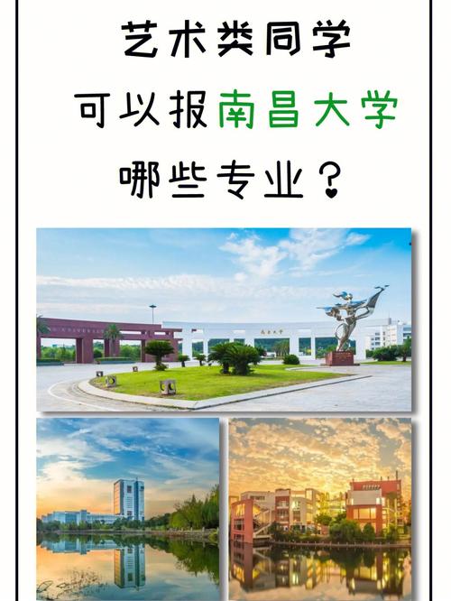 南昌大学怎么报专科