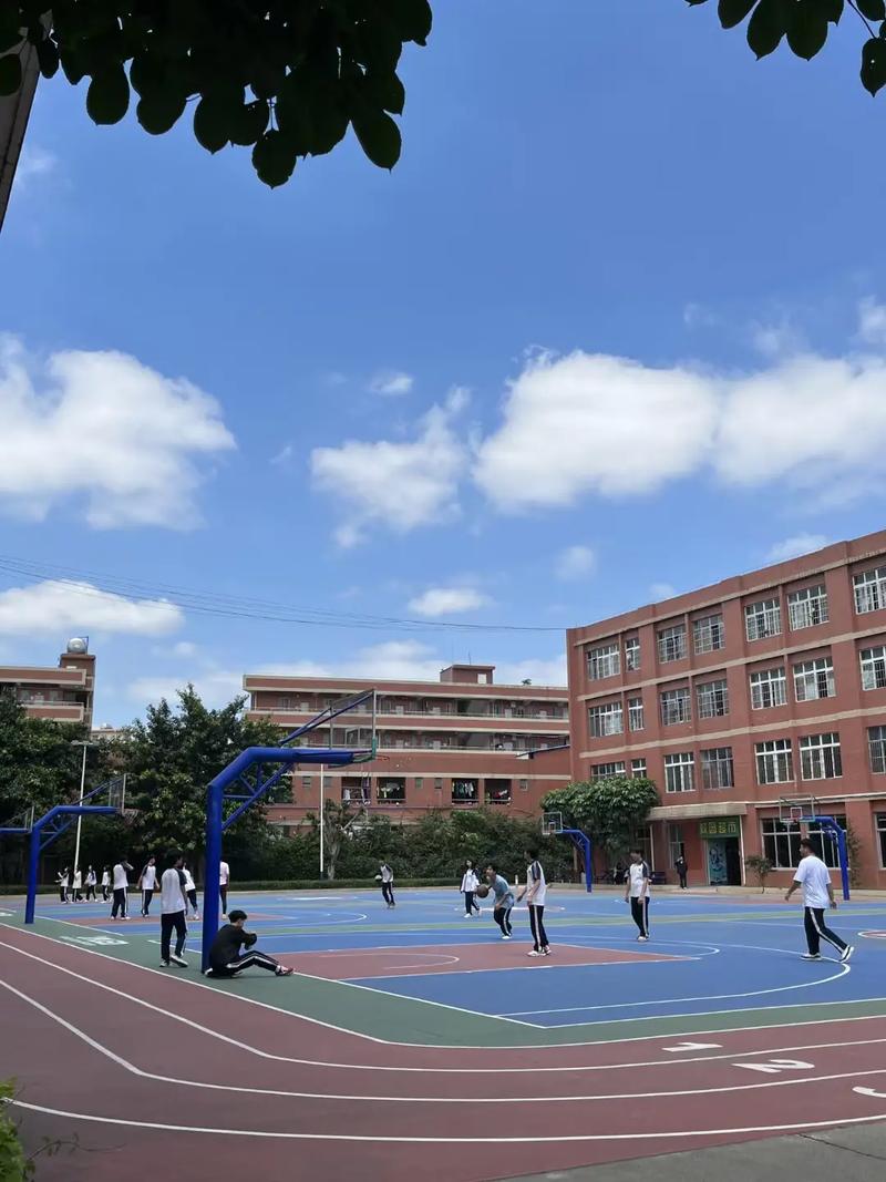 我看到的学校什么样