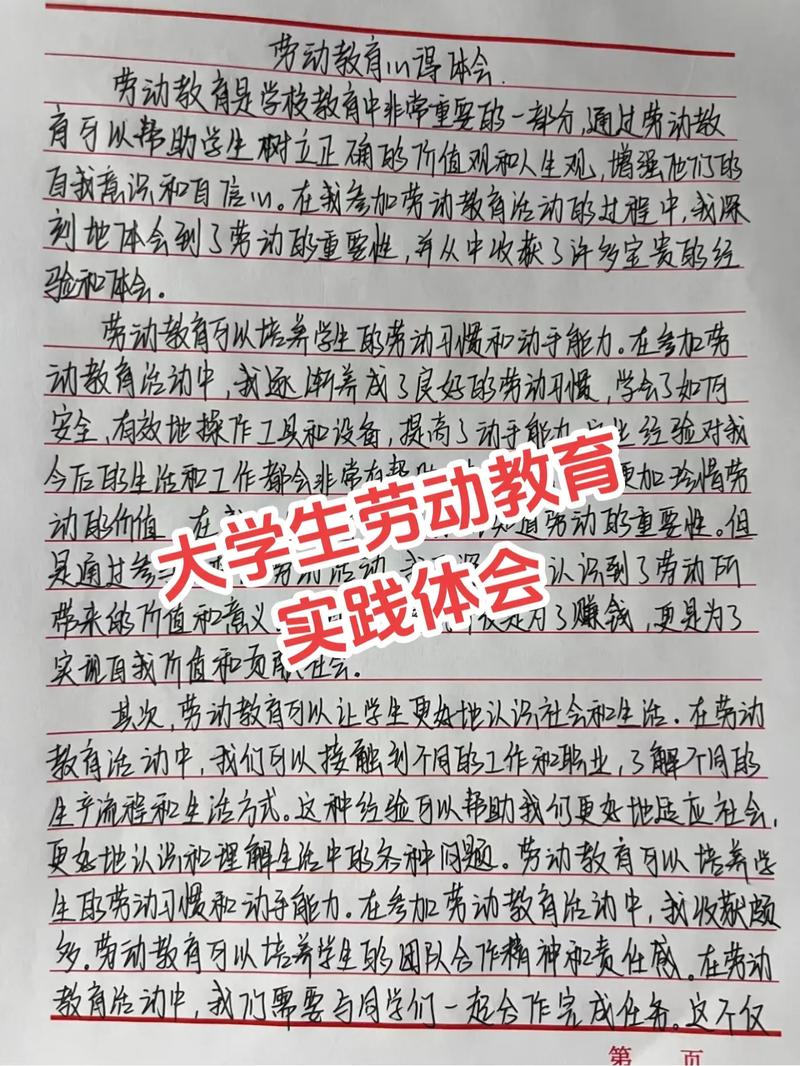 大学体验式实践怎么写