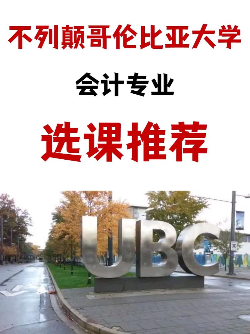 会计大学要选什么课