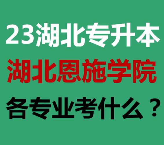 恩施的大专有哪些专业