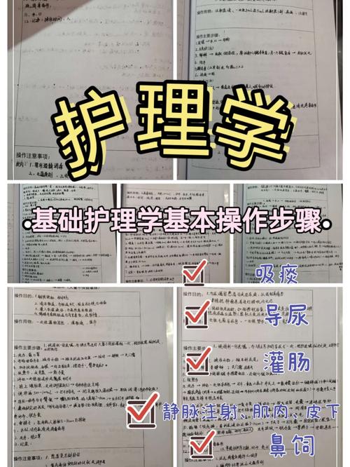 学护理专业有什么流程