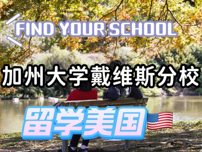 戴维斯大学在哪里