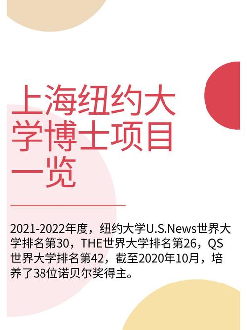 上海纽约大学专业有什么