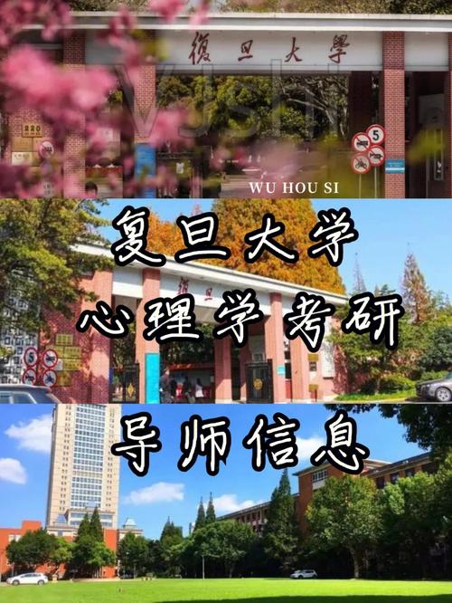 复旦大学都能学什么