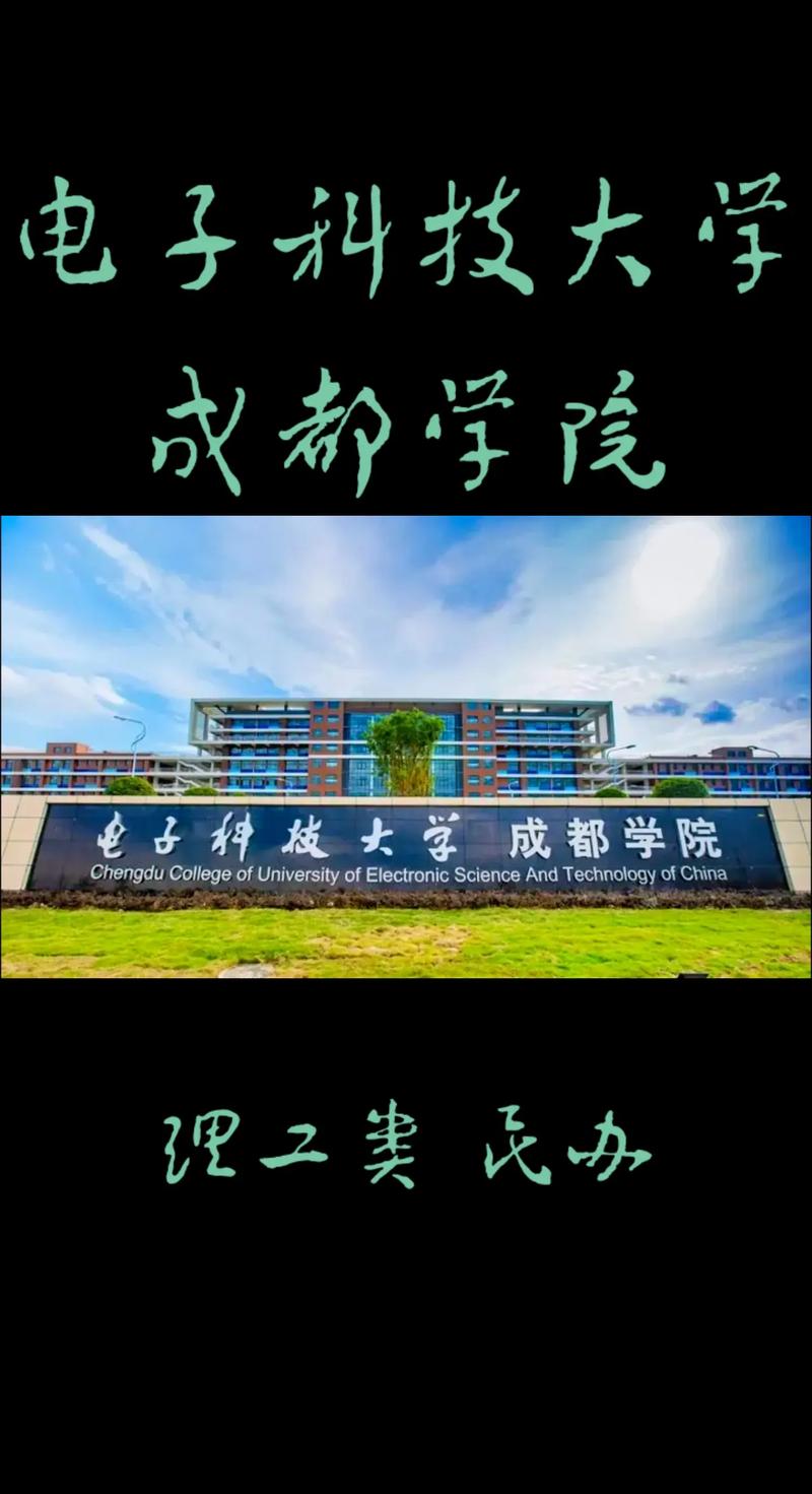 电子科大哪些学院