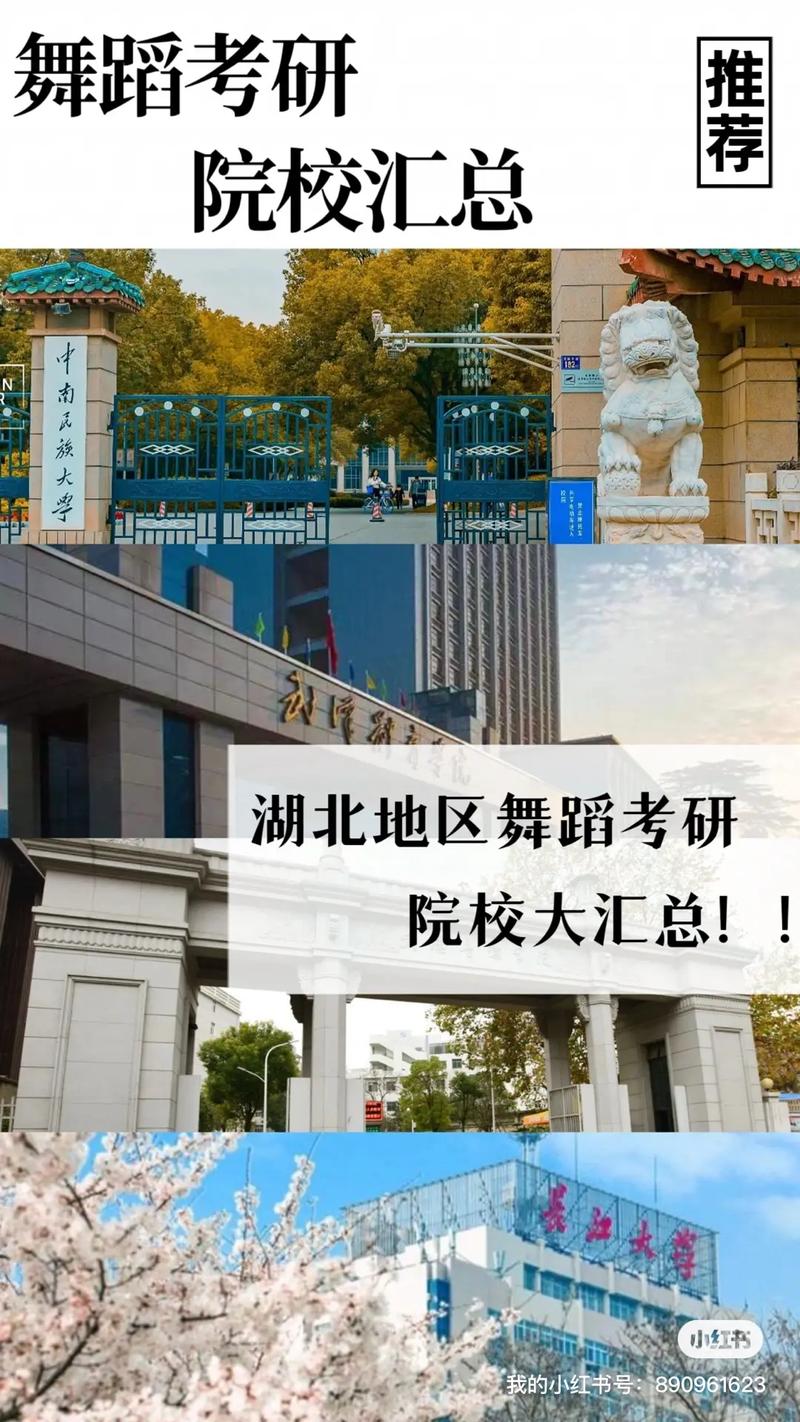 湖北有哪些舞蹈大学