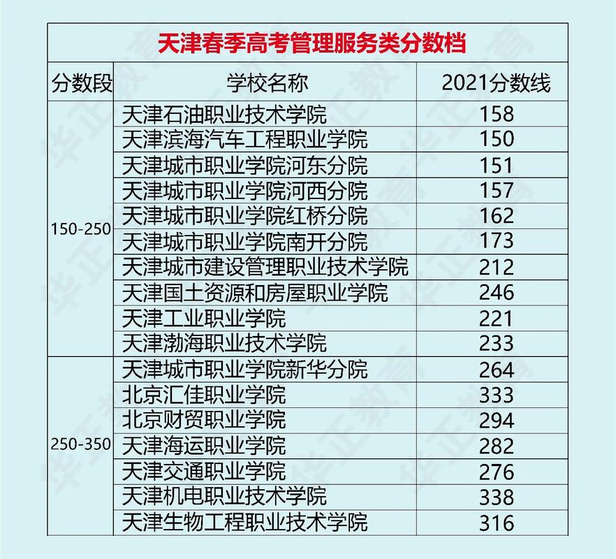 天津530能报什么大学