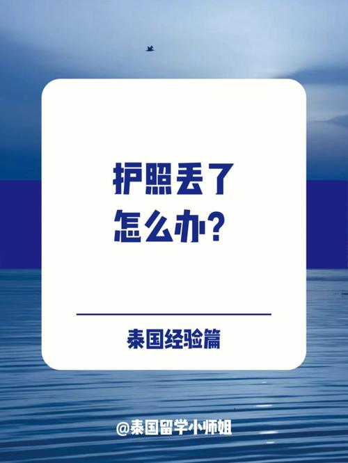 同济大学护照怎么办