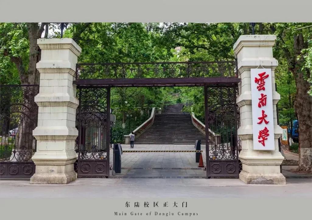 云南大学的大门在哪里