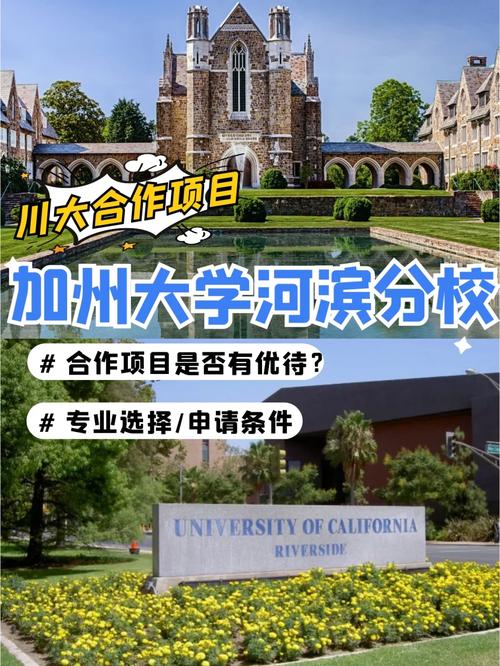 河滨市有哪些大学