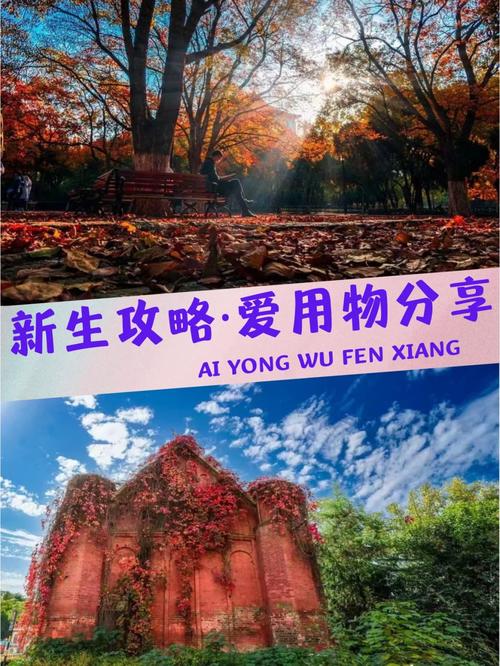 山东大学怎么处理的