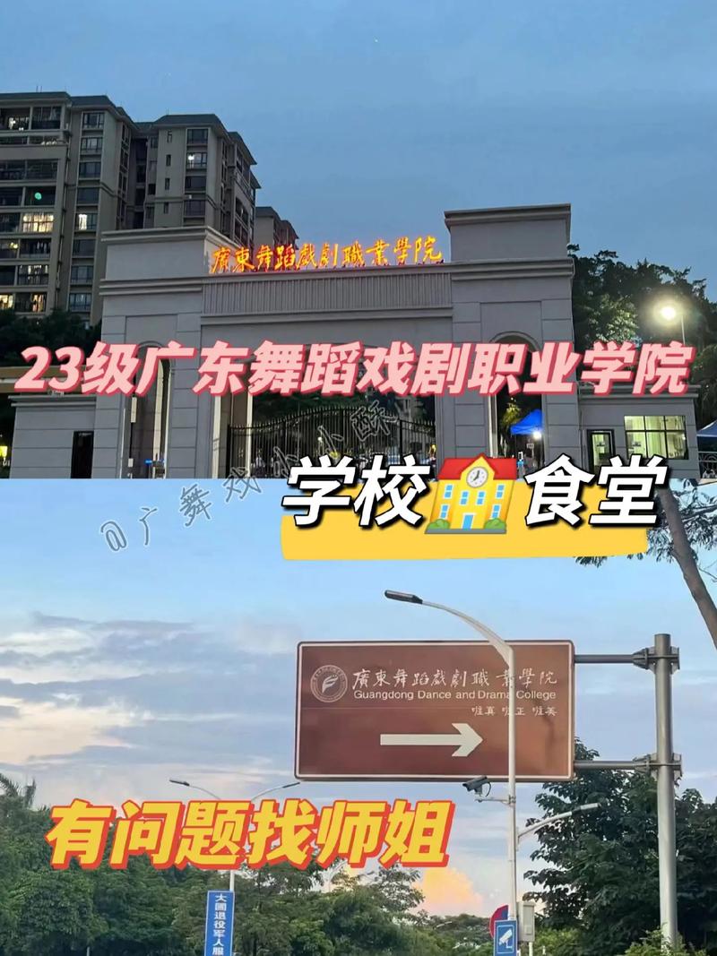 广舞戏学什么内容