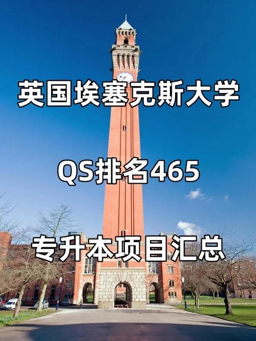 英国essex大学在哪里