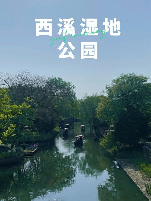 青岛大学湿地在哪里