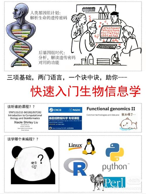 学生物信息怎么样