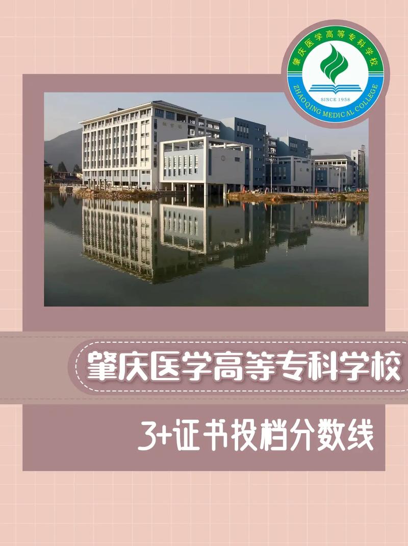 广东肇庆有什么医学院