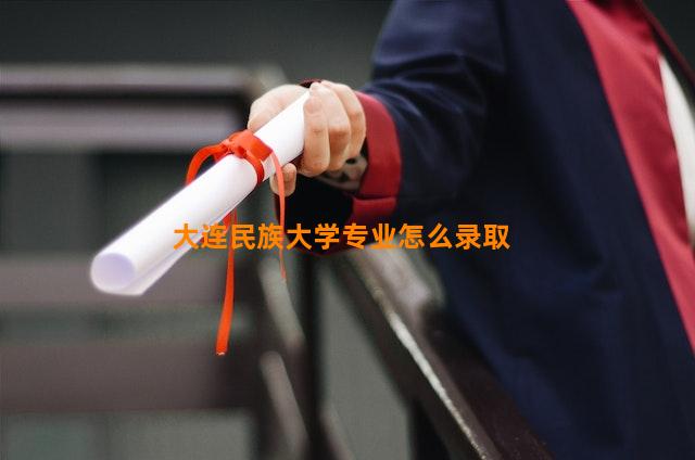 大连民族大学专业怎么录取