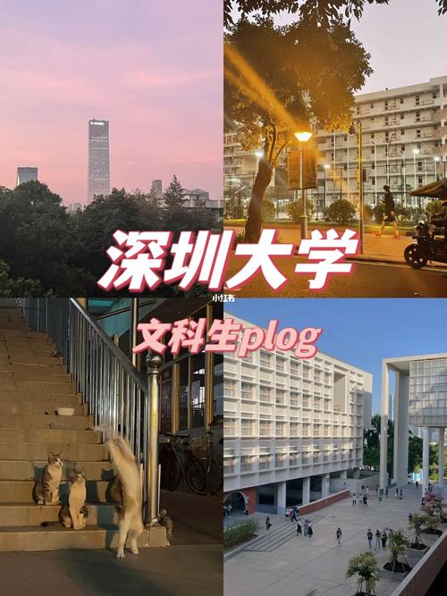 深圳大学 文科怎么样