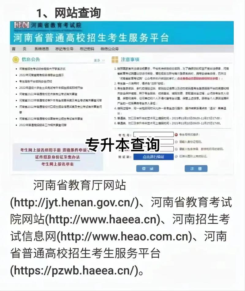 怎么查河南省的大学