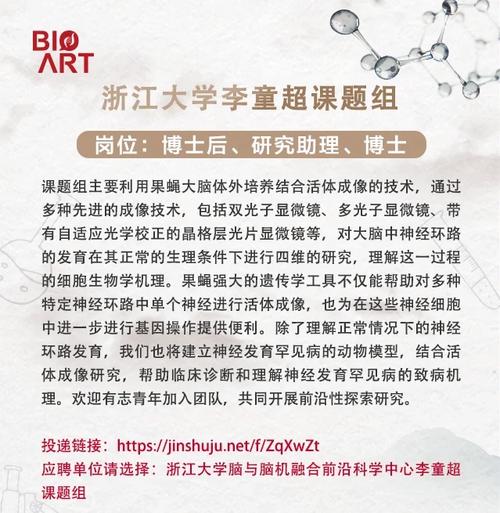 大学学科助理是做什么