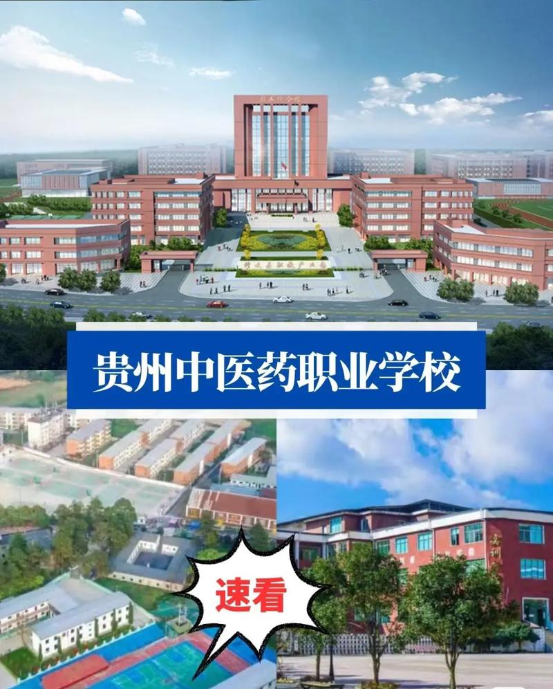 职业学校到底怎么样