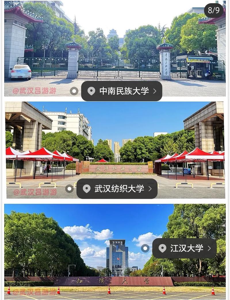 武汉的大学主要在哪里