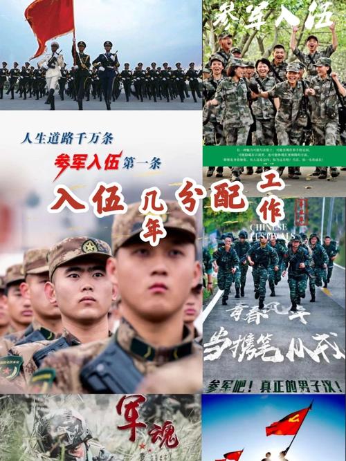 大学什么时候去当兵最好