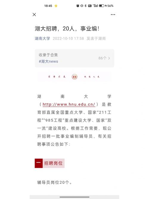 湖南大学就业办在哪里