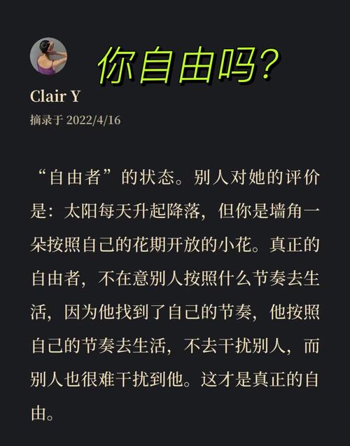 随心所往是什么意思