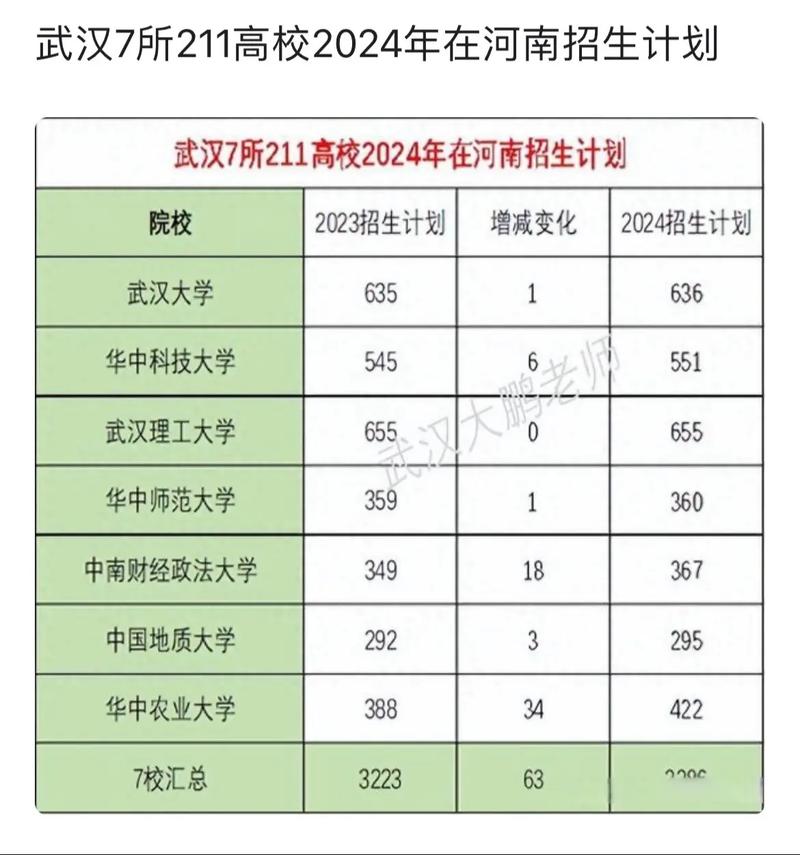 湖北省211有哪些学校