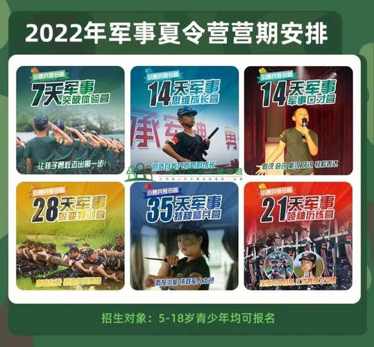 2016年都招什么兵