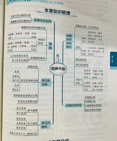 7上科学为什么问题