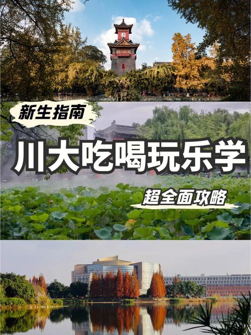 校外的怎么进川大