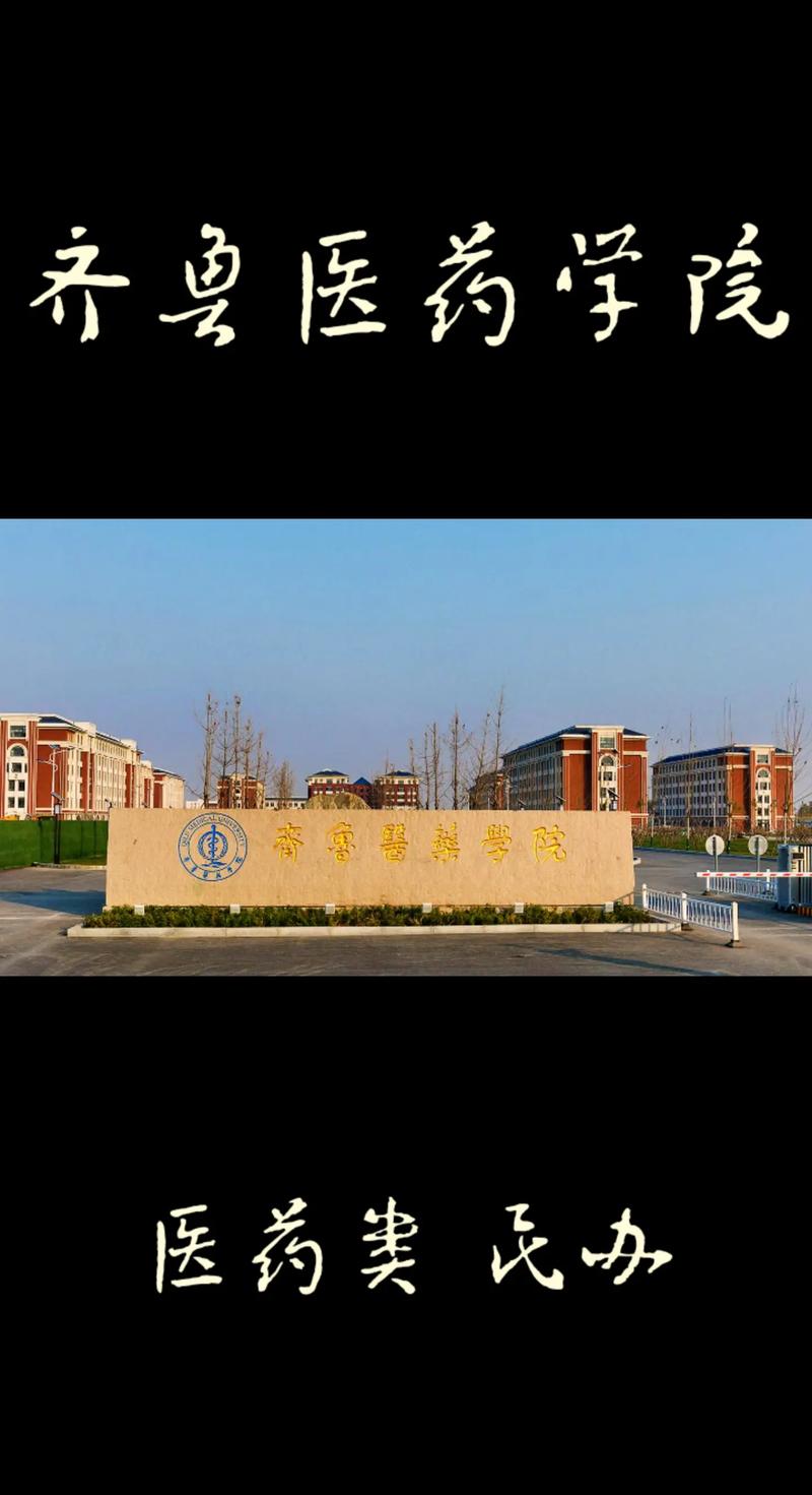 山东哪些医药类大学