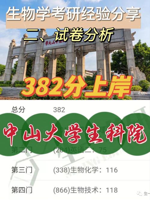 中山大学要怎么选科