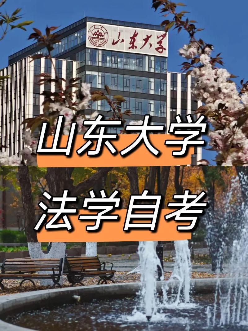 怎么联系山东大学