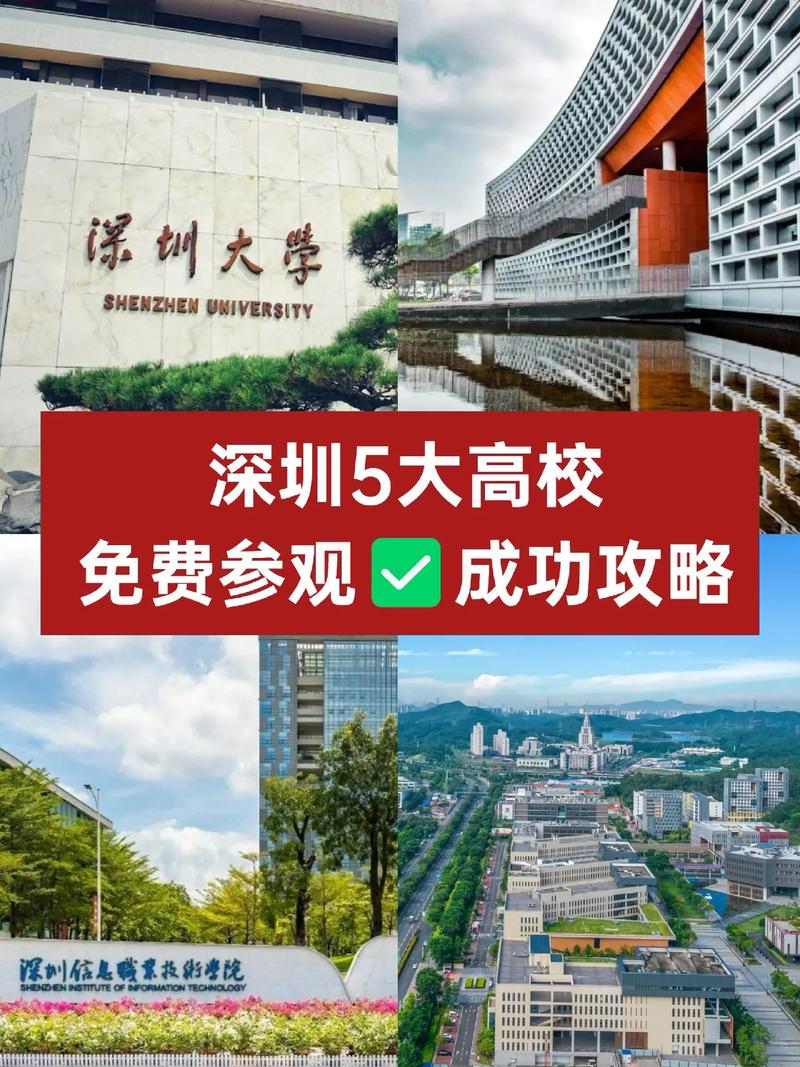 深圳哪些大学开放