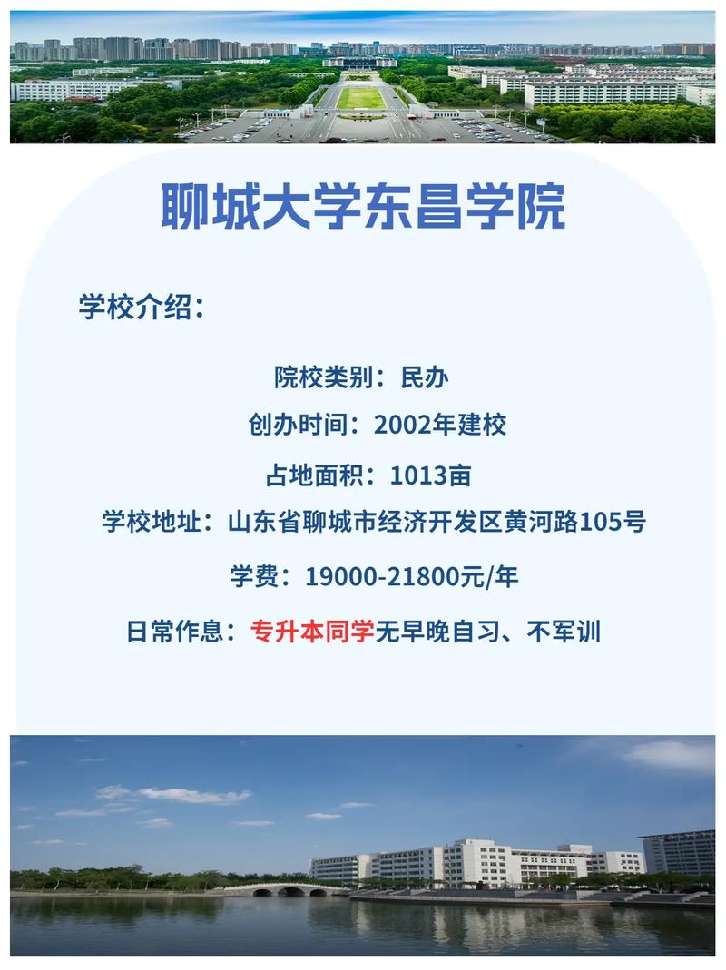 聊城大学网址是什么