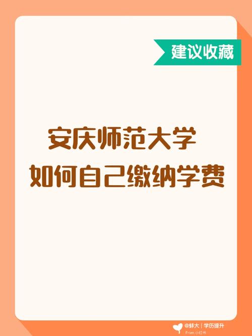 安庆大学就业怎么样