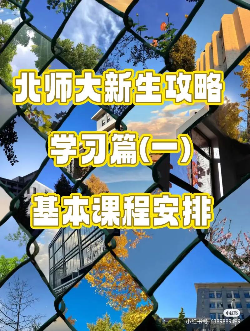 北京师范主要学什么