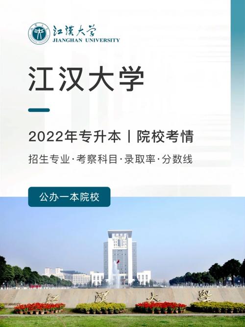 江汉大学有哪些学院