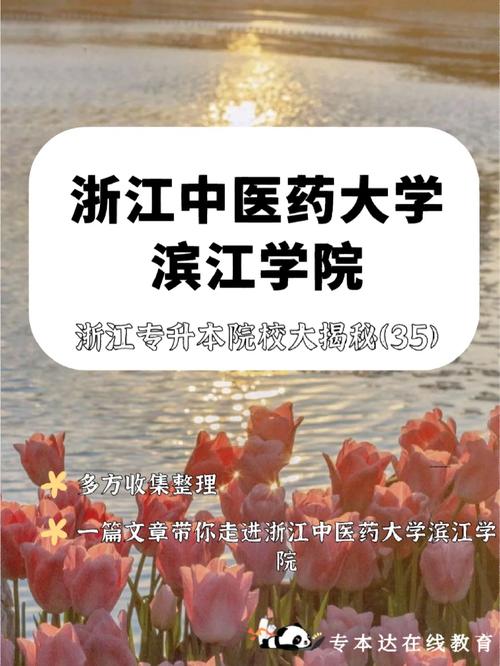 滨江学院有哪些大学