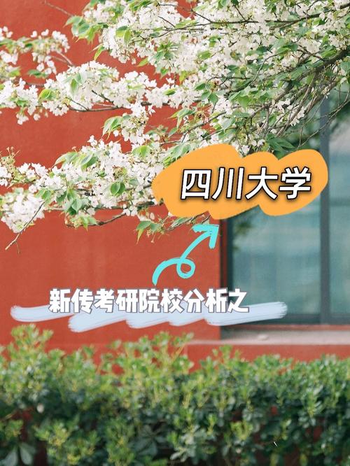 成都四流大学有哪些