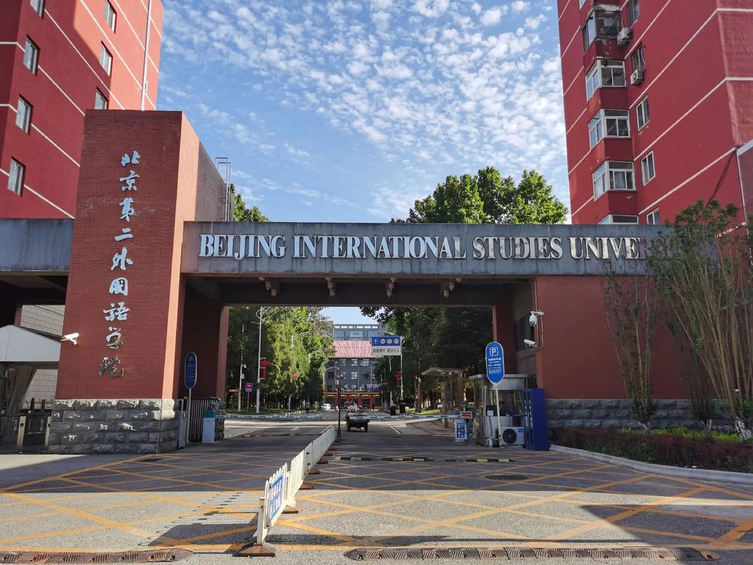 北京s大是什么大学