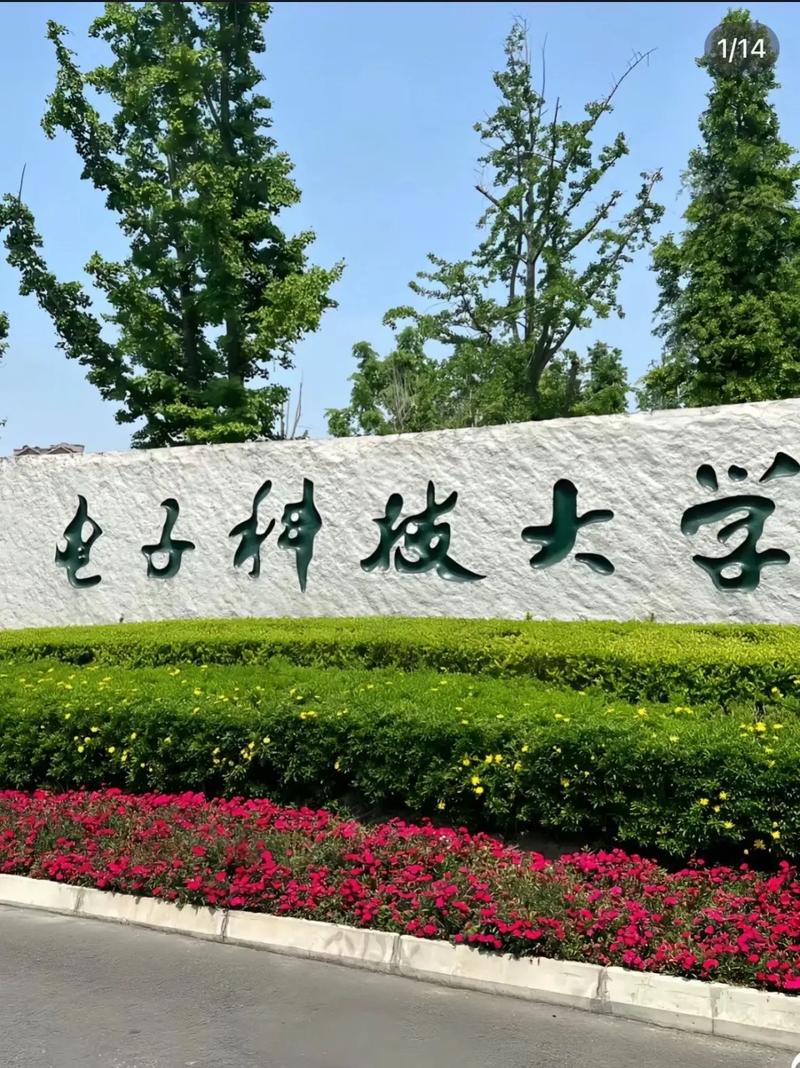 电子大学是什么样子的